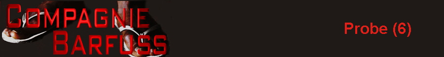 Probe (6)
